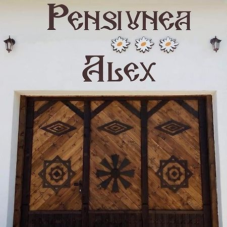 Pensiunea Alex Marga 외부 사진